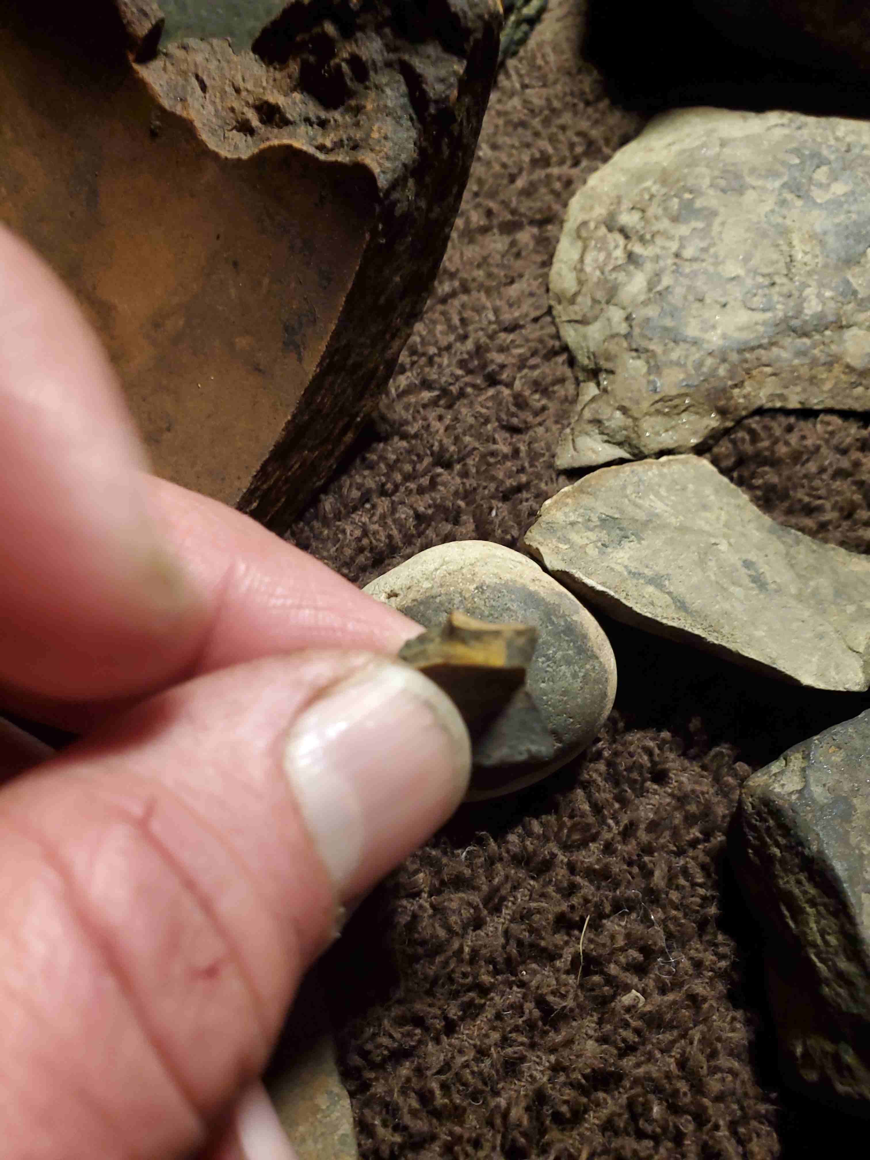 Possible-Native-American-Tools/Art?
